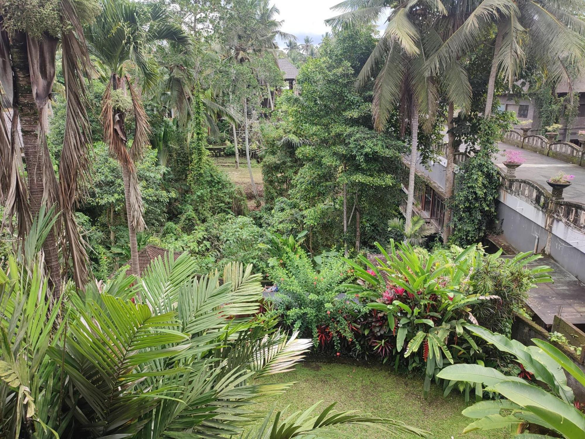 אובוד Sari Wangi Cottage מראה חיצוני תמונה