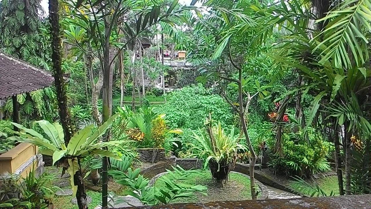 אובוד Sari Wangi Cottage מראה חיצוני תמונה